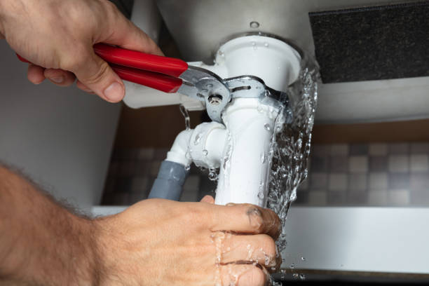 Best Water damage cleanup near me  in Avonia, PA