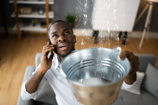 Best Water damage contractors near me  in Avonia, PA