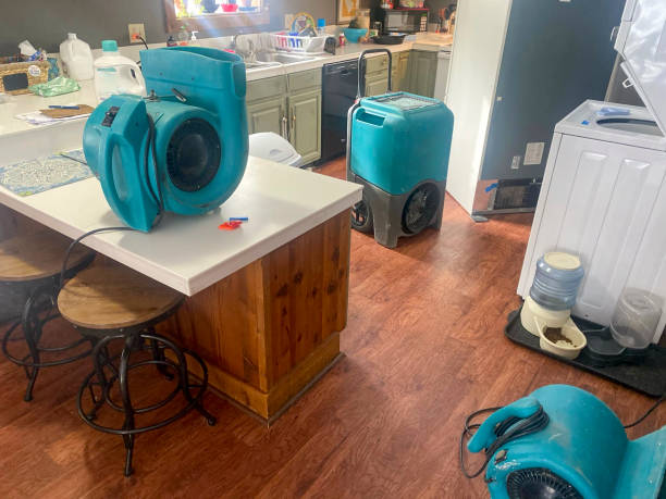 Best Carpet water damage restoration  in Avonia, PA