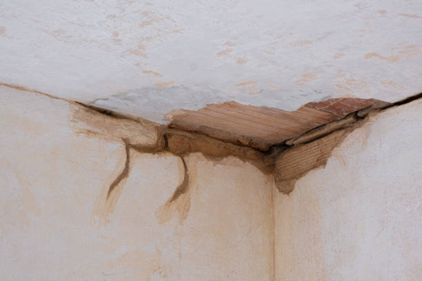 Best Water damage cleanup near me  in Avonia, PA