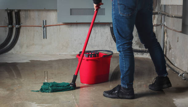 Best Basement water damage restoration  in Avonia, PA