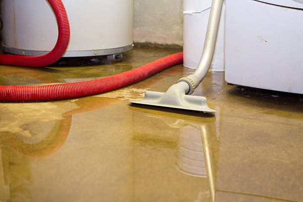 Best Professional water damage repair  in Avonia, PA