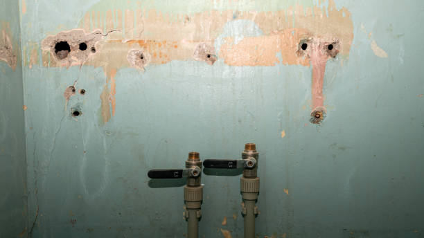 Best Professional water damage repair  in Avonia, PA