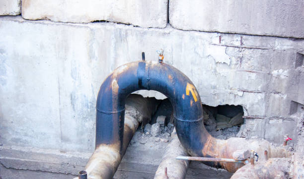 Best Local water damage restoration  in Avonia, PA