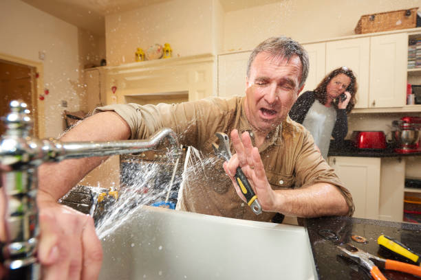 Best Ceiling water damage repair  in Avonia, PA